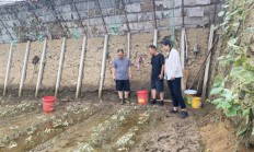 蔬菜产业专家团在沈阳开展水涝灾害应急服务