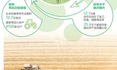 一粒小麦的“产业链之旅”（“三夏”一线探新迹）