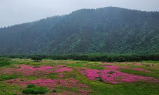 香格里拉普达措：生态先行惠民生