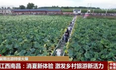 “暑期游”一系列新场景、新业态纷纷解锁 夏日消费活力四射